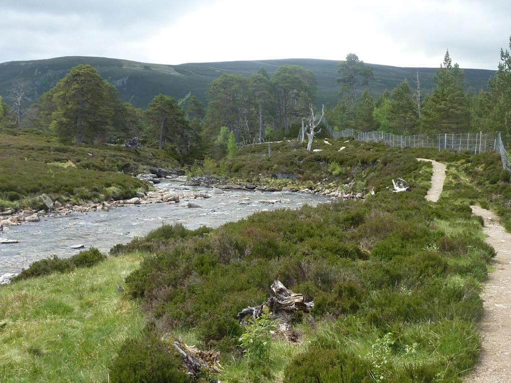 Hostal Youth Braemar